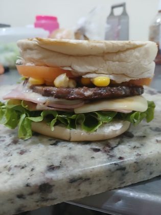 Lanche Vegetariano